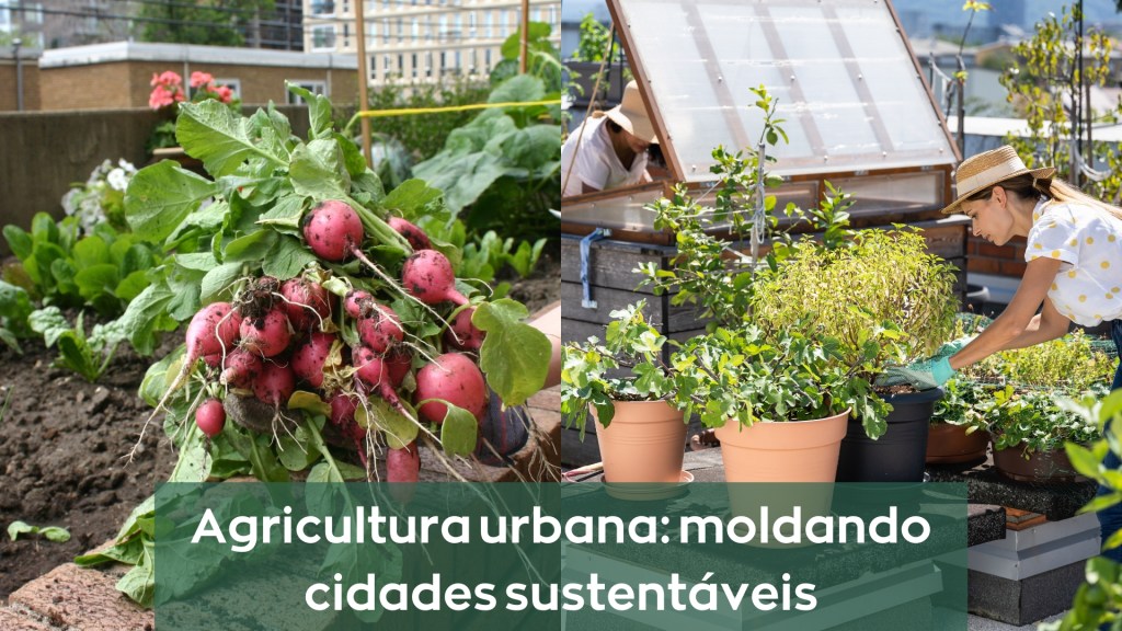 Agricultura Urbana: Sustentabilidade nas Cidades&nbsp;Modernas