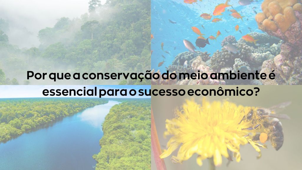 Como os Serviços Ambientais Sustentam a&nbsp;Economia