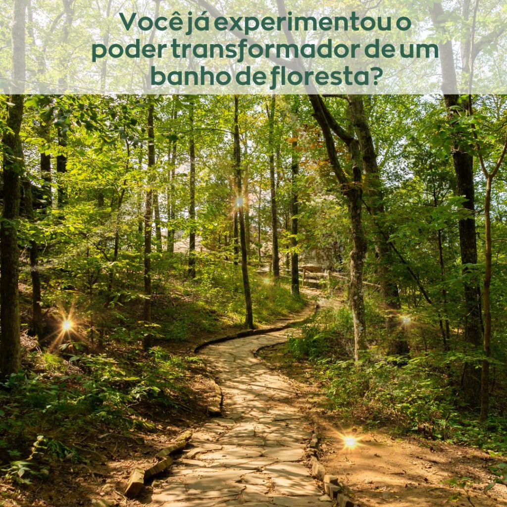 Banho de floresta: reconexão com o&nbsp;essencial