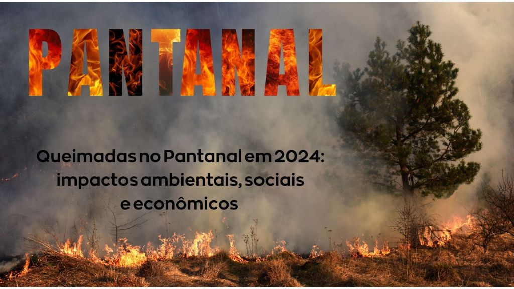 Queimadas no Pantanal em 2024: impactos ambientais, econômicos e&nbsp;sociais