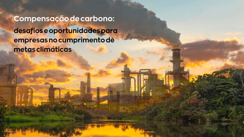 Compensação de Carbono: Estratégia Essencial para Sustentabilidade