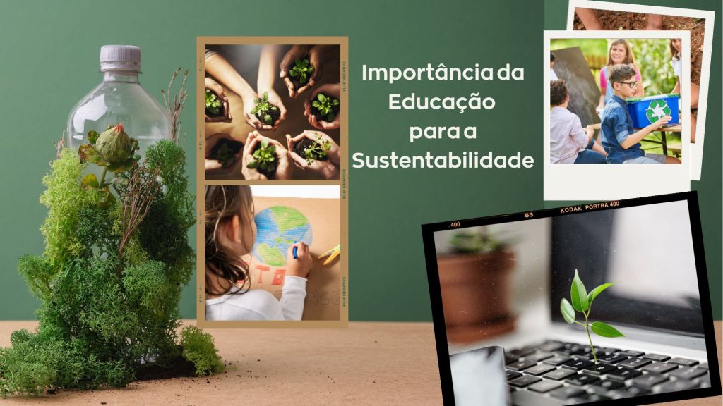 Educação para a Sustentabilidade: Práticas e&nbsp;Importância