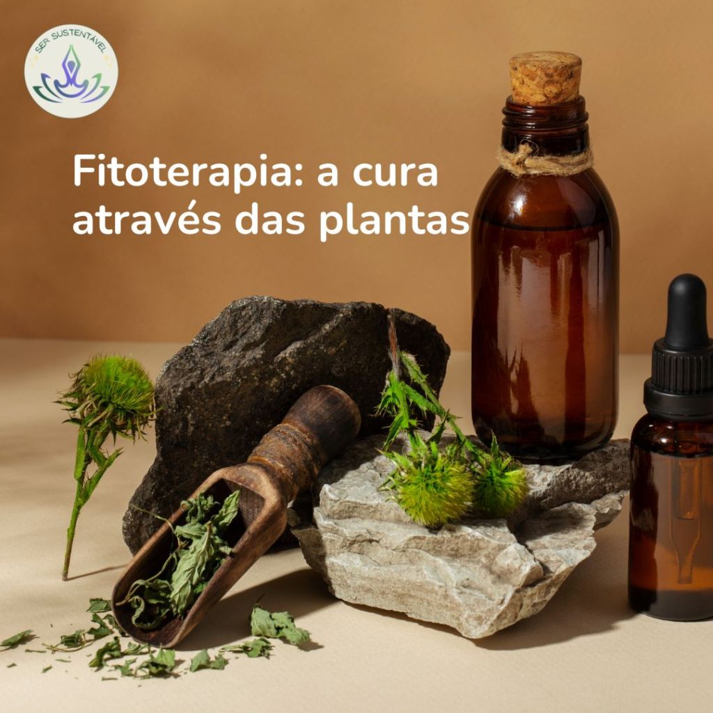 Fitoterapia: a cura através das&nbsp;plantas