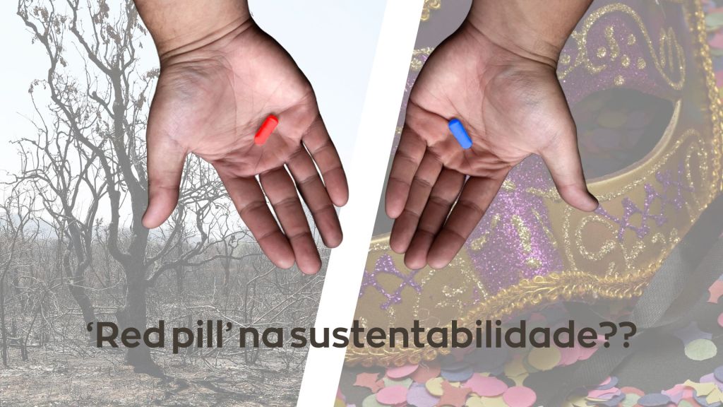 Sustentabilidade e a escolha inadiável: você prefere a ilusão ou a&nbsp;realidade?
