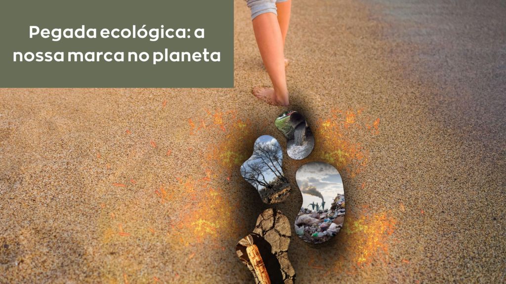 Reduza Sua Pegada Ecológica: Dicas Práticas para um Futuro&nbsp;Sustentável