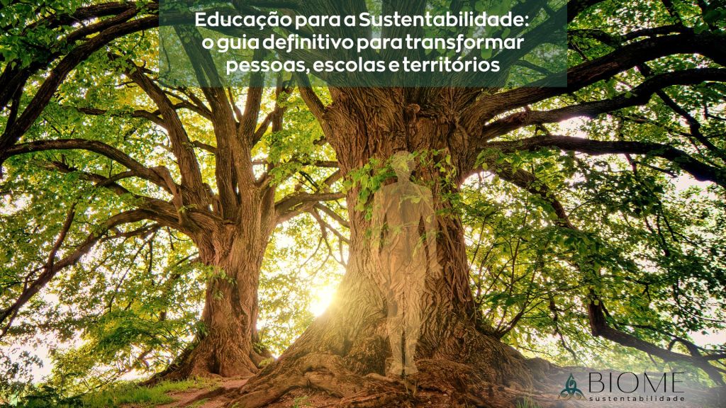 Educação para a Sustentabilidade: o guia definitivo para transformar pessoas, escolas e&nbsp;territórios